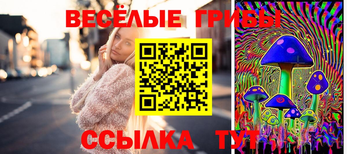 Псилоцибиновые грибы мухоморы Кашира