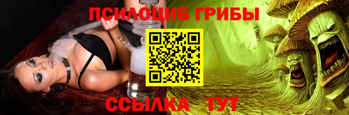 Кашира  Псилоцибиновые грибы ЛСД  Псилоцибиновые грибы Psilocybe  Вход с VPN 
